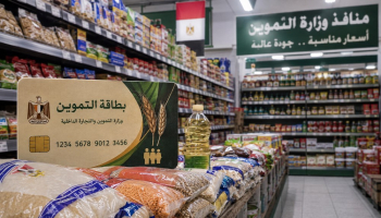 دليل خدمات التموين أونلاين: كيفية الاستعلام وتحديث البيانات وإضافة المواليد