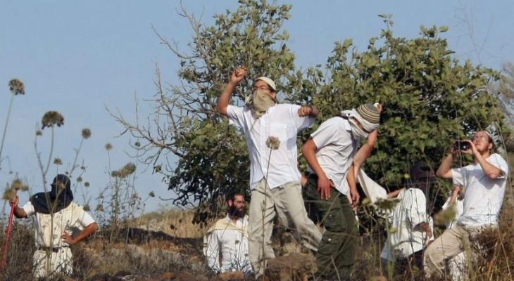 Settlers, Rabbis enhance their position at the Israeli Army, dictate their policies in OPT