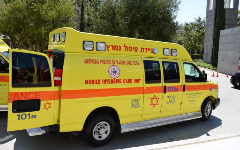 نداء الوطن -