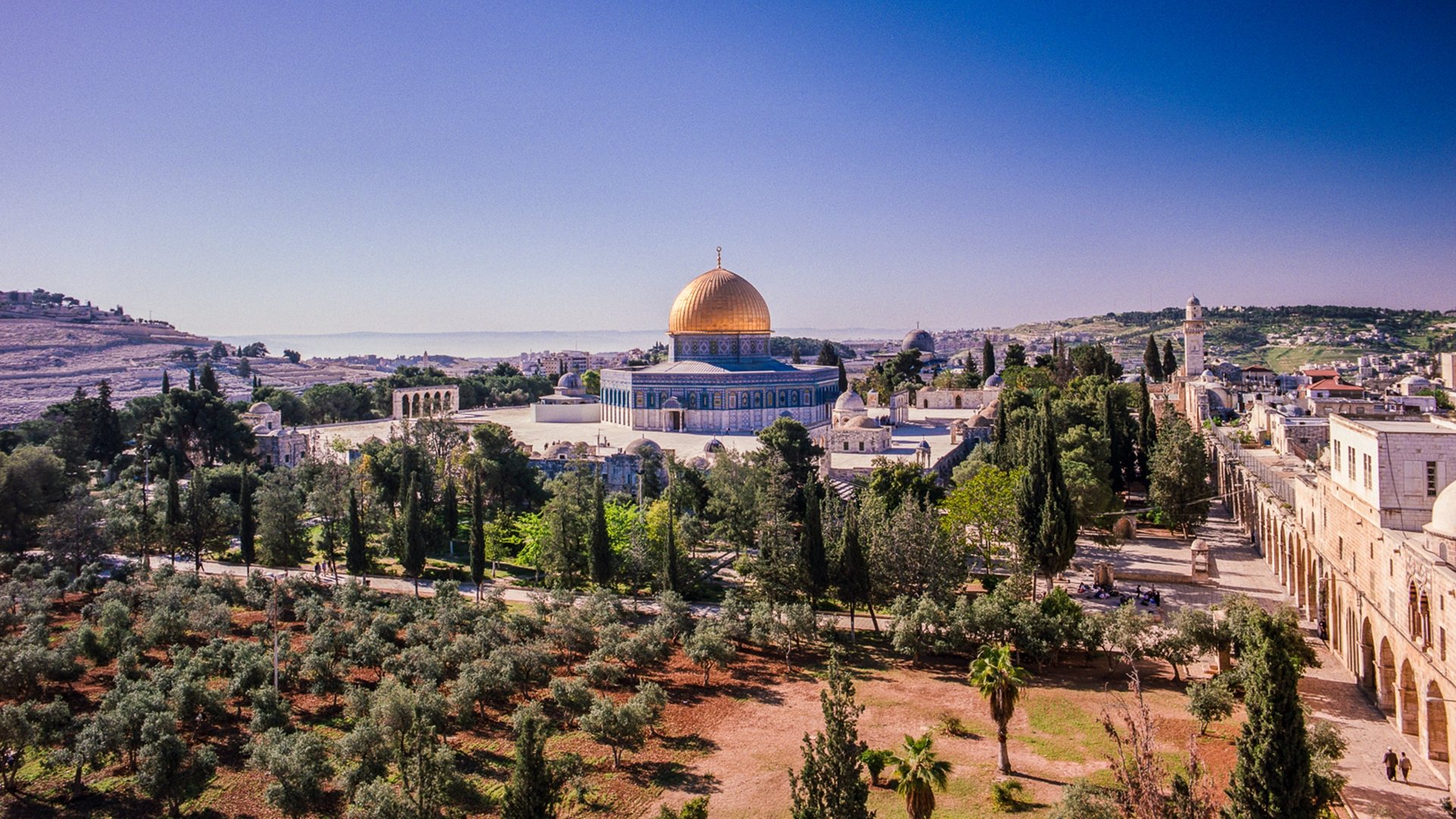نداء الوطن - قدس