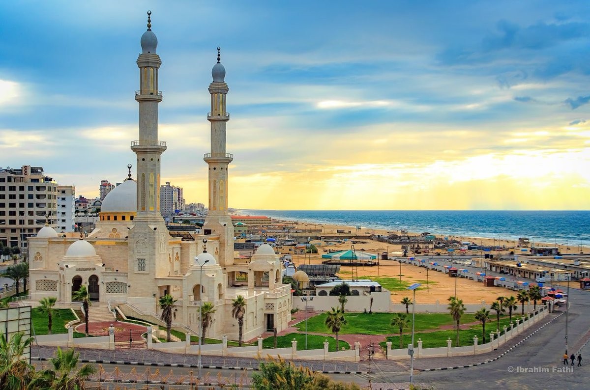 نداء الوطن | مساجد غزة