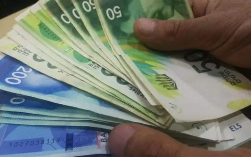 نداء الوطن -